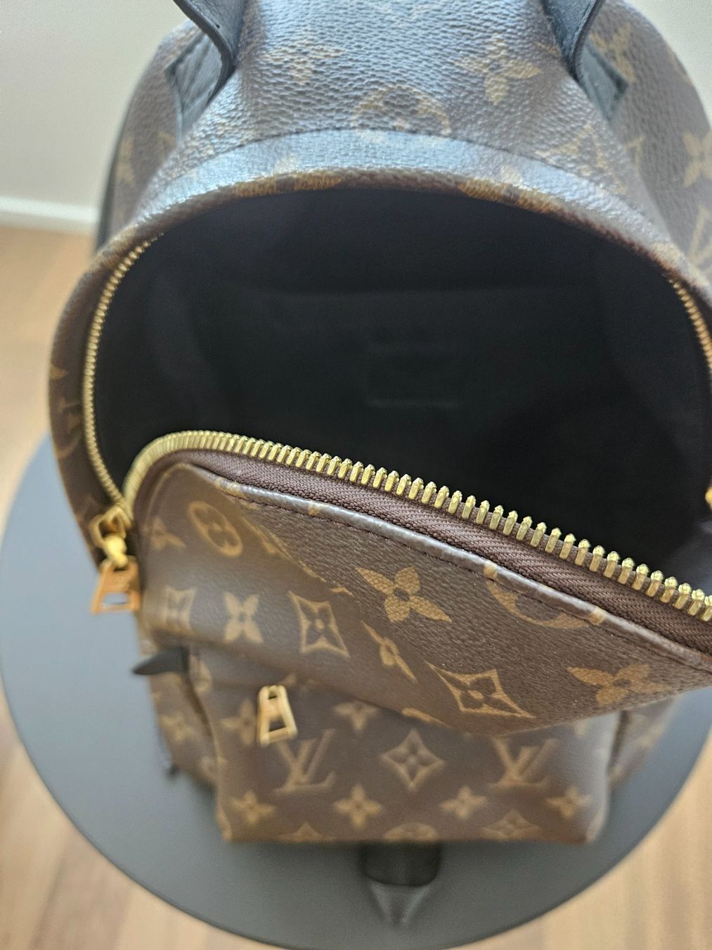 Louis Vuitton Rucksäcke: Louis Vuitton Palm Springs Backpack PM – Gebraucht aus Wiesendangen von Liquidshop 4