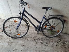 Damenfahrrad Greiff Surrender, 28 Zoll, Occasion