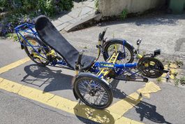 Trike Liegefahrrad / Liegevelo (Steintrikes Mungo Sport)