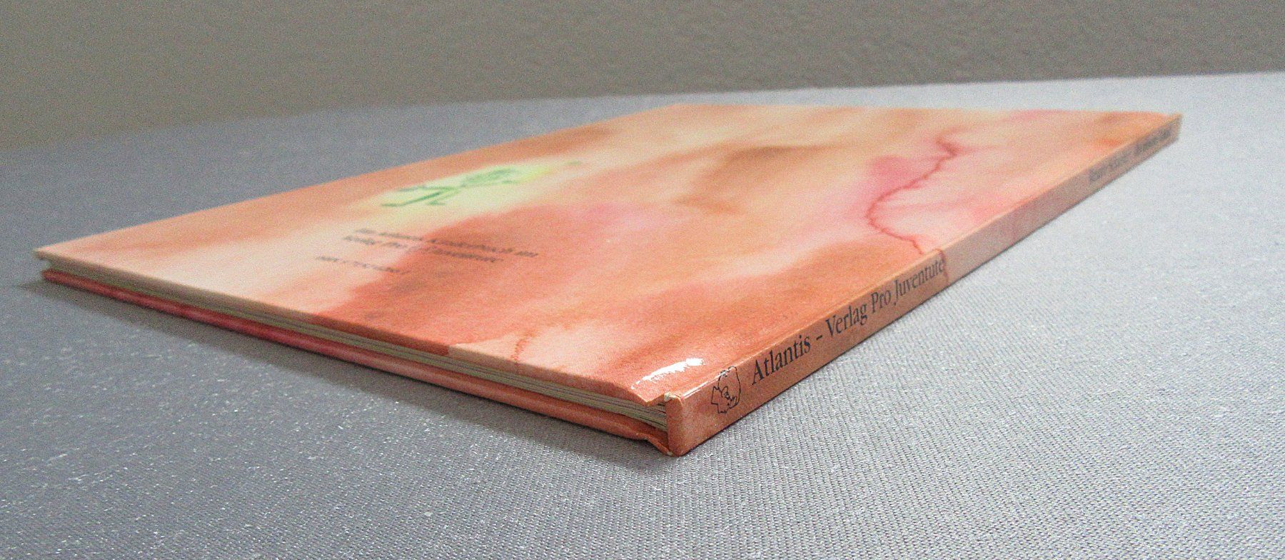 Libri: In einem Land - Bilderbuch von Renate Schaefer – Usato da Auenstein venduto da Padabimbim 7