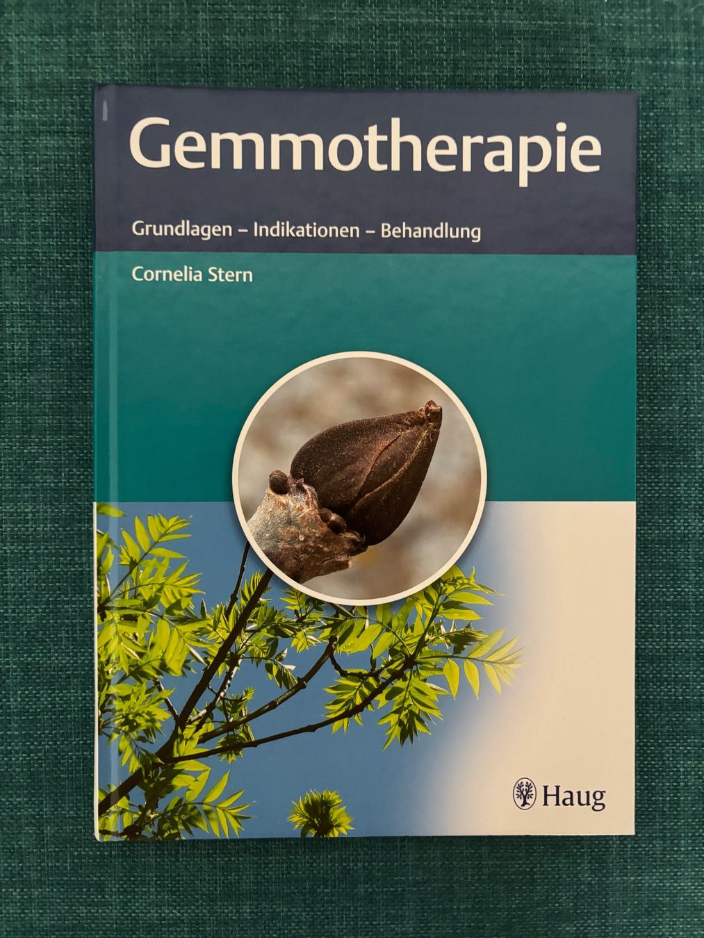Libri: Gemmotherapie, Cornelia Stern – Usato da Affoltern am Albis venduto da Feldi007