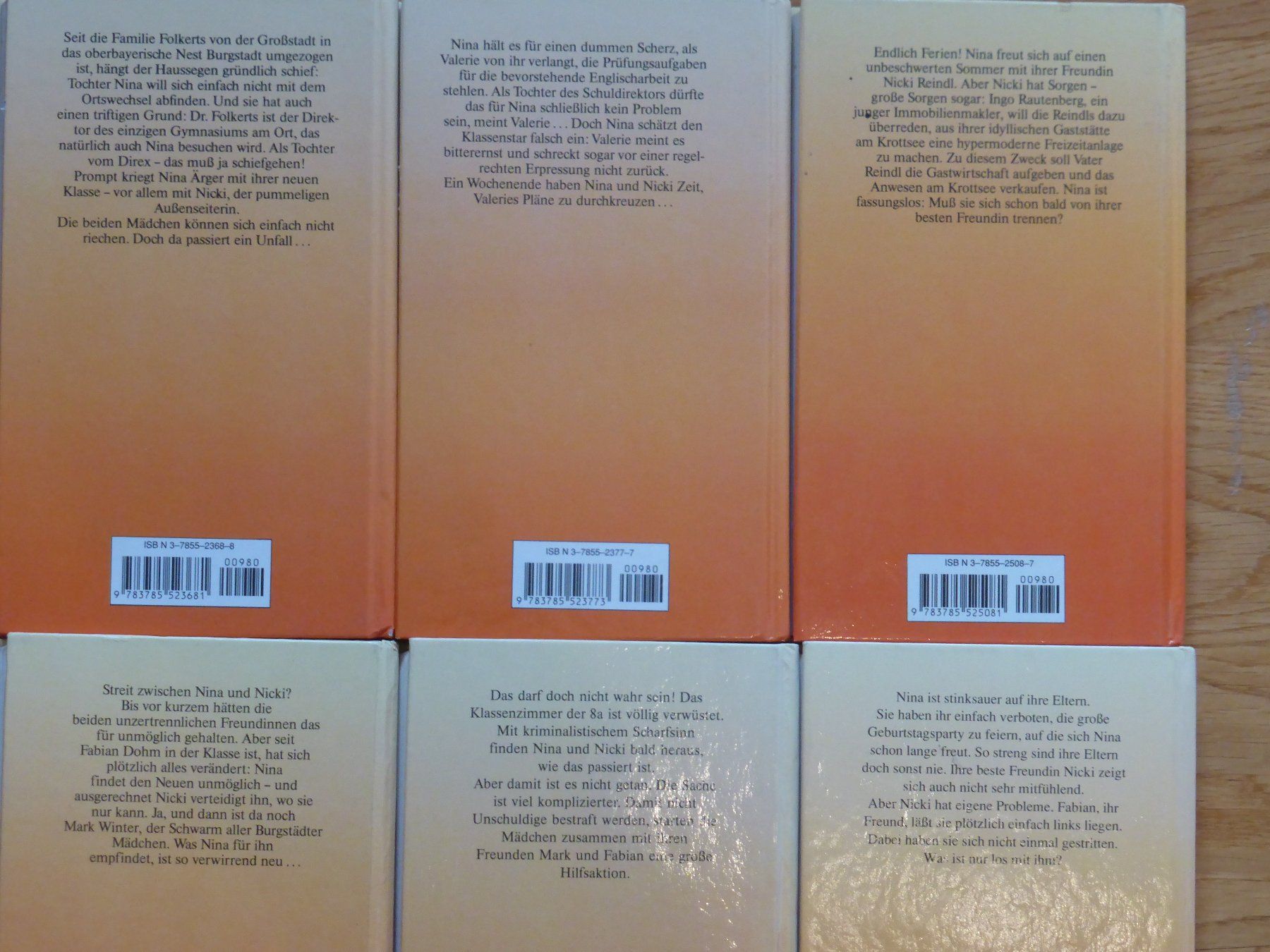 Libri: Nina & Nicki Buchserie – Usato da Kefikon TG venduto da sandragruen 1