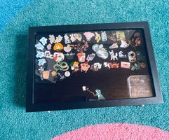 Sammlung Pins in Vitrine