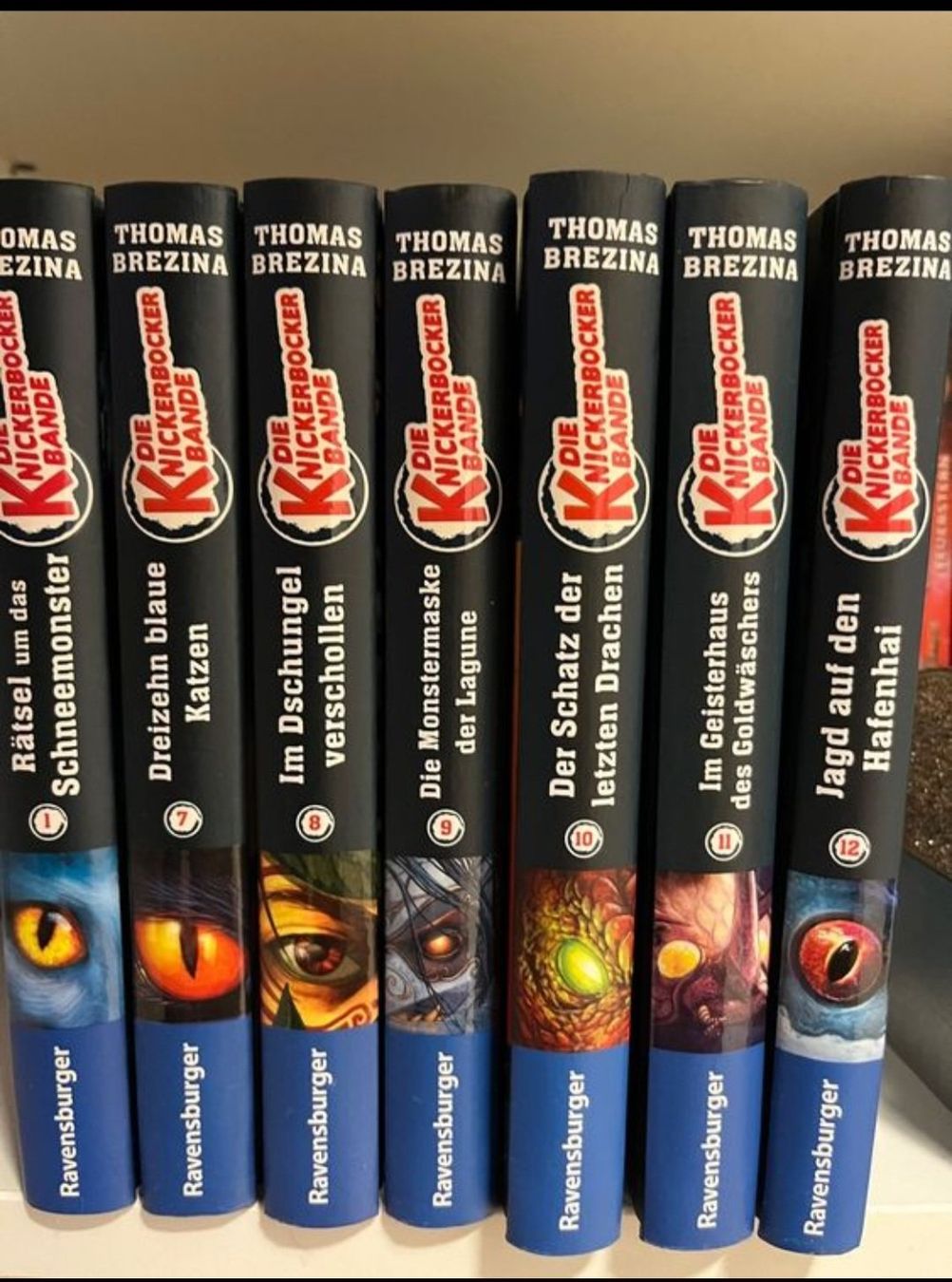 Libri: Die KnickerBockerBande 7 Bücher – Usato da Wildberg venduto da mantas07