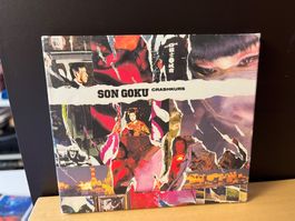 Son Goku - Crashkurs - HI21B