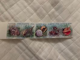 5 seltene Muschel Briefmarken St.Kitts