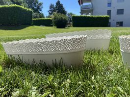 Verschiedene Pflanzentöpfe zu verschenken 