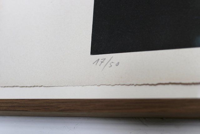 Grafica & Litografie: Matias Spescha Lithographie – Usato da Wetzikon ZH venduto da toyomtb 2