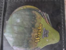 Série Wunder