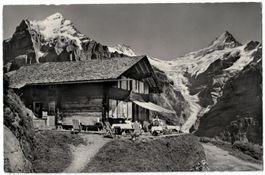 Grindelwald, Berghaus Waldspitz, belebt um 1945-50