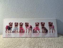Bild für Kinderzimmer (90x30)