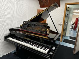 C. Bechstein Flügel - M-180 (1926), regelmässiger Service