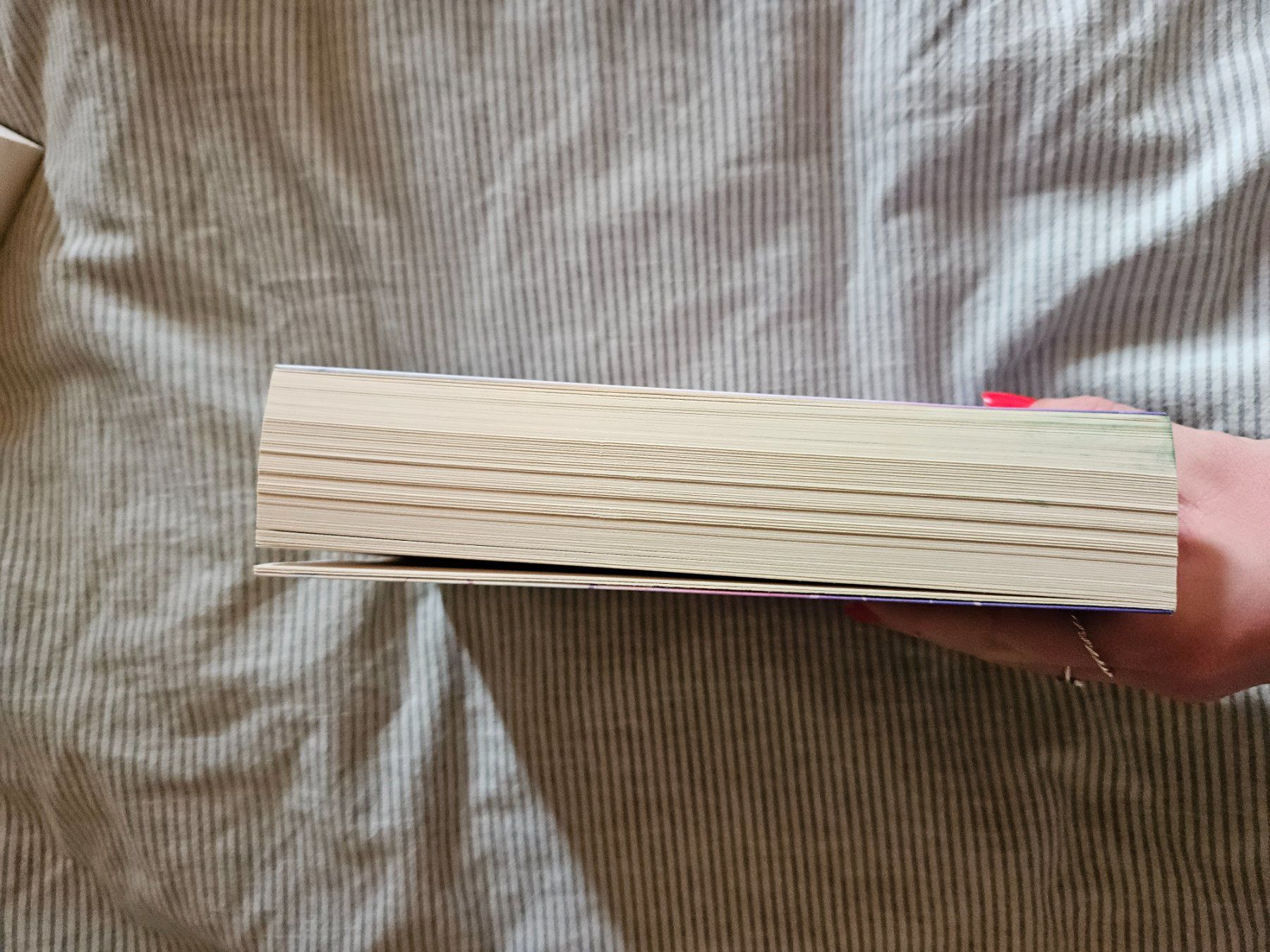 Bücher: Icebreacker - Hannah Grace – Gebraucht aus Eriswil von liv_lq5j 3