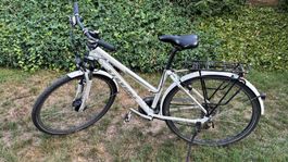 Fahrrad Damen Stevens Jazz