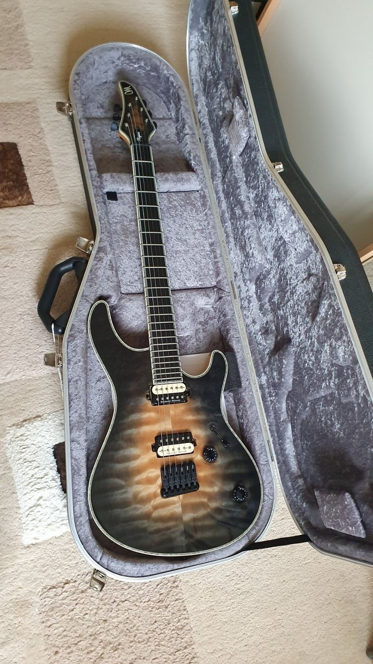 Strumenti musicali: Mayones Regius 6 Custom Shop – Usato da Fribourg venduto da wis_7b6y