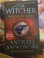 The Witcher: Das Erbe der Elfen - Fantasy Buch (Top Zustand)