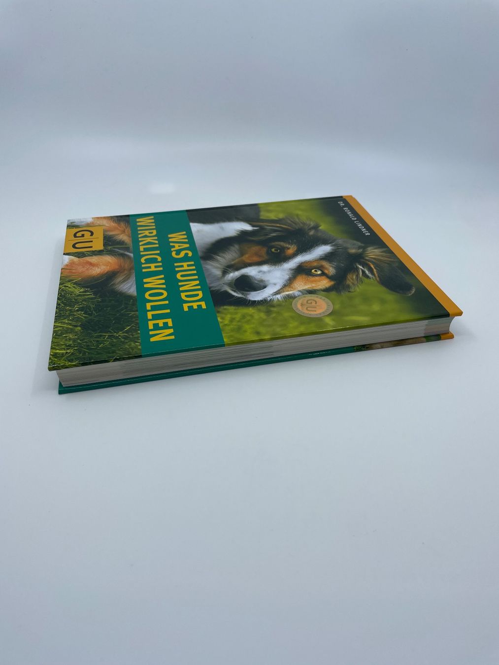 Bücher: Was Hunde wirklich brauchen - Dr. Ronald Lindner – Neu (gemäss Beschreibung) aus Pfeffingen von Paco1991 3