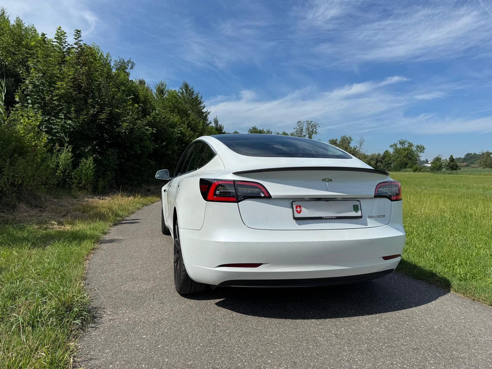 Tesla Automobili: Tesla Model 3 – Usato da Hefenhofen venduto da NietoAutomobile 3