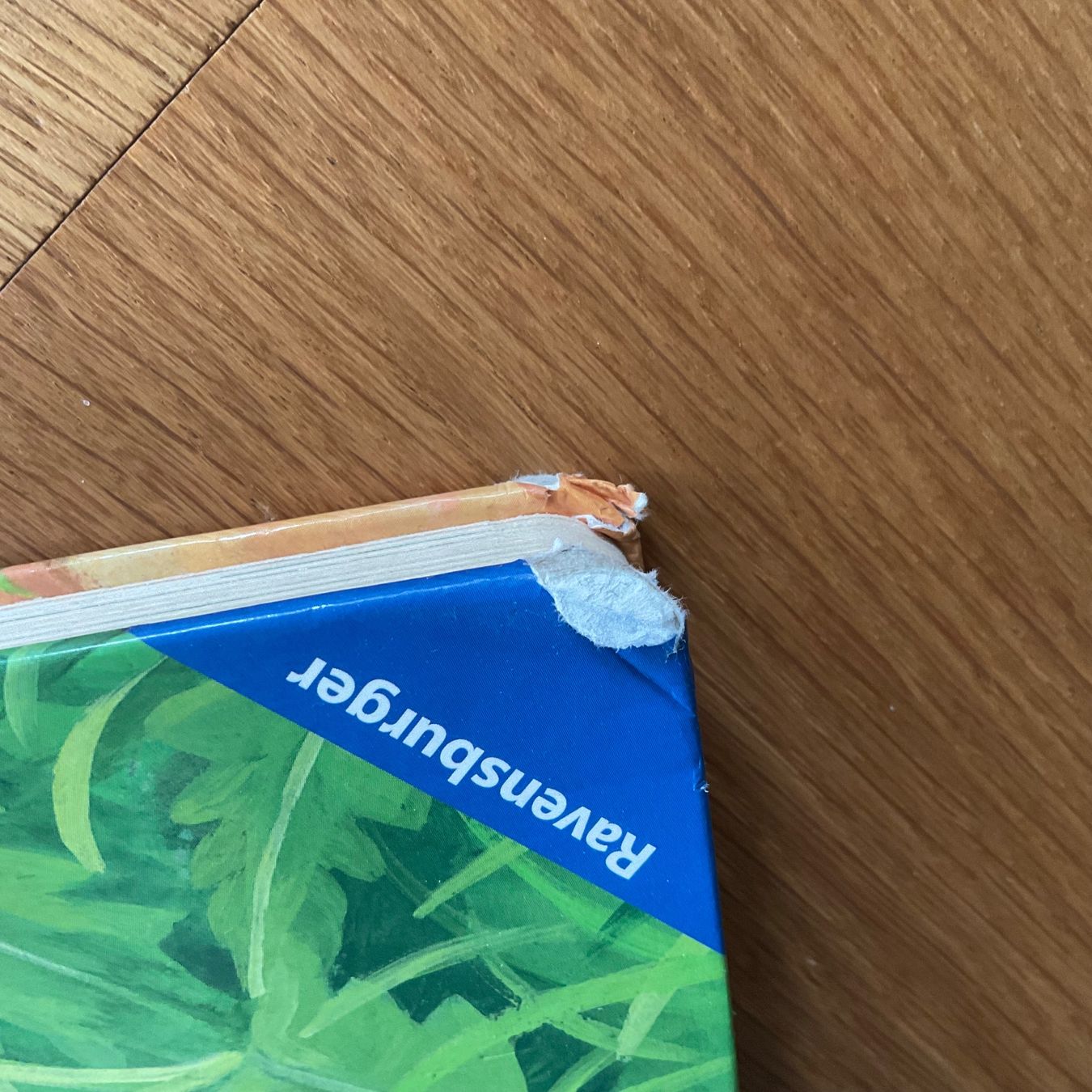 Libri: 2 Bilderbücher ab 2 Jahren – Usato da Niederteufen venduto da sicmu 7