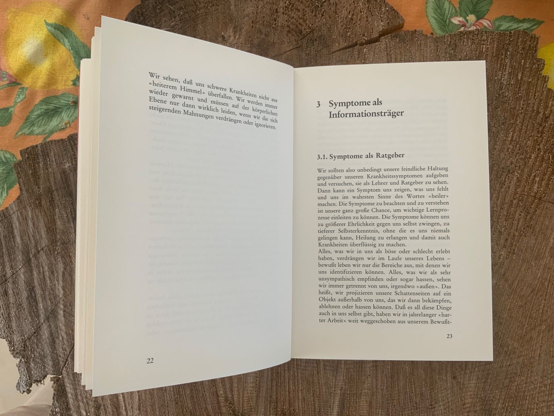Libri: Botschaft des Körpers - Lis Lustenberger – Usato da Sempach Station venduto da blackhors 6