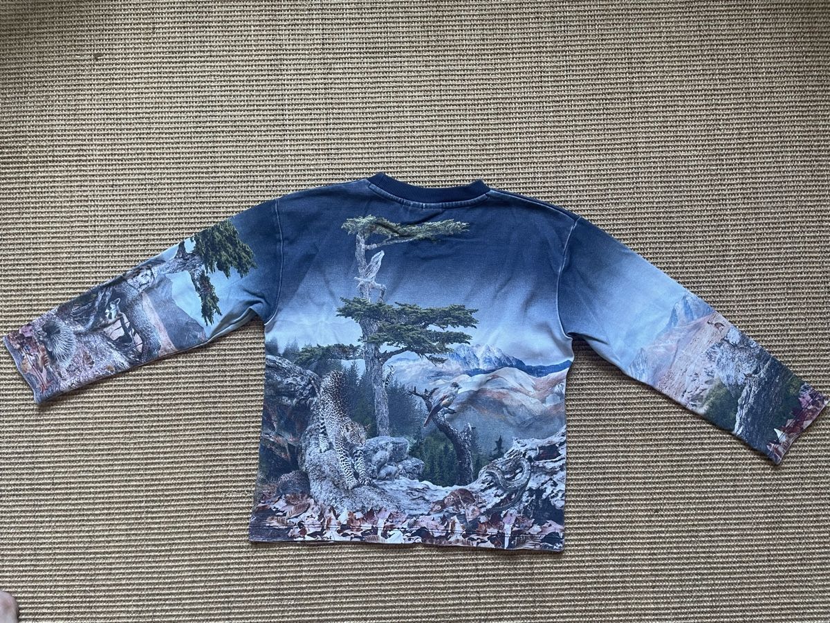 Molo Maglioni & Felpe: Molo Pullover Grösse 128 – Usato da Zürich venduto da EliseSchmitz 2