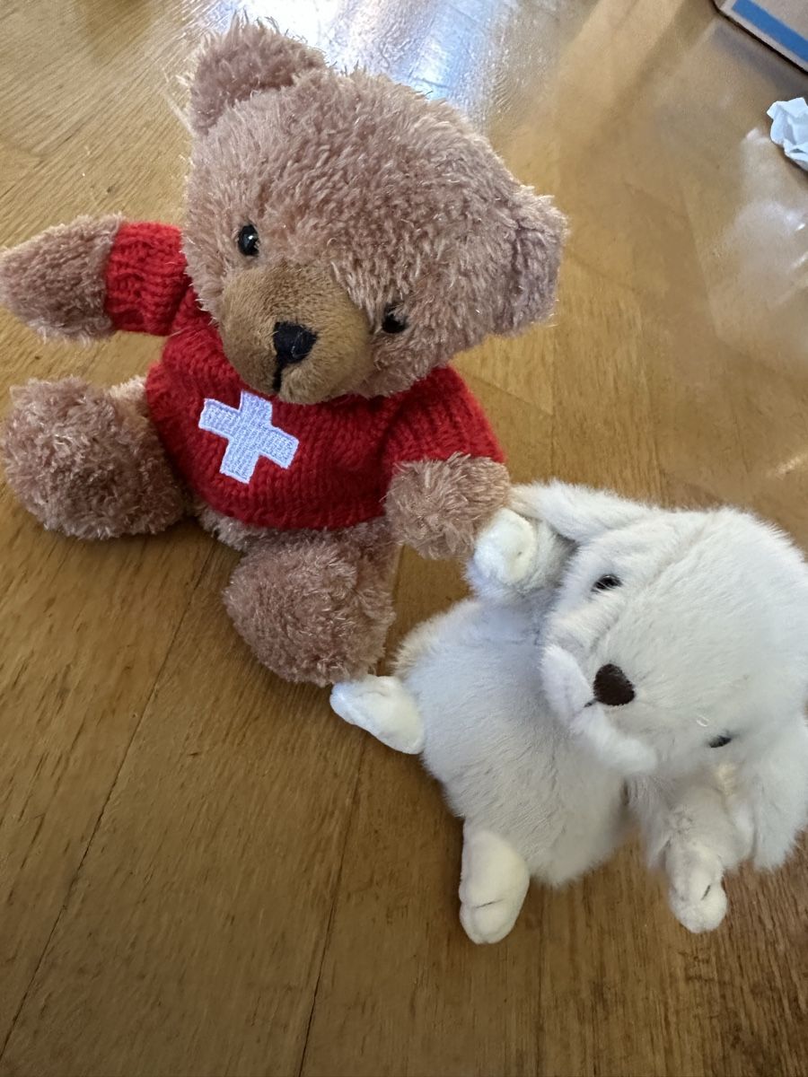 Spielzeuge: Plüschtier Hase /Bär  – Gebraucht aus Bern von Ruhrallee 1