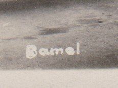 Cartoline postali: Aviatik   :   alte Ansichtskarte "Bamel" ungelaufen – Usato da Vitznau venduto da Ropaku 1