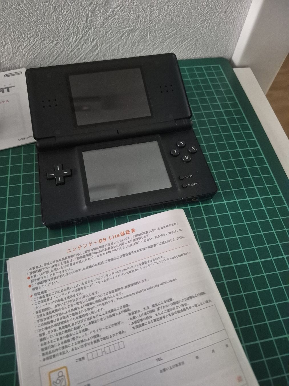 Nintendo Console: Nintendo DS Lite Black - Complete in Box - Excellent! – Usato da Meyrin venduto da Retro-GZ 1