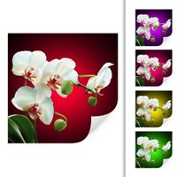 Wallprint Orchidee rot 30x30cm (neu, UVP 13.90 Fr.)