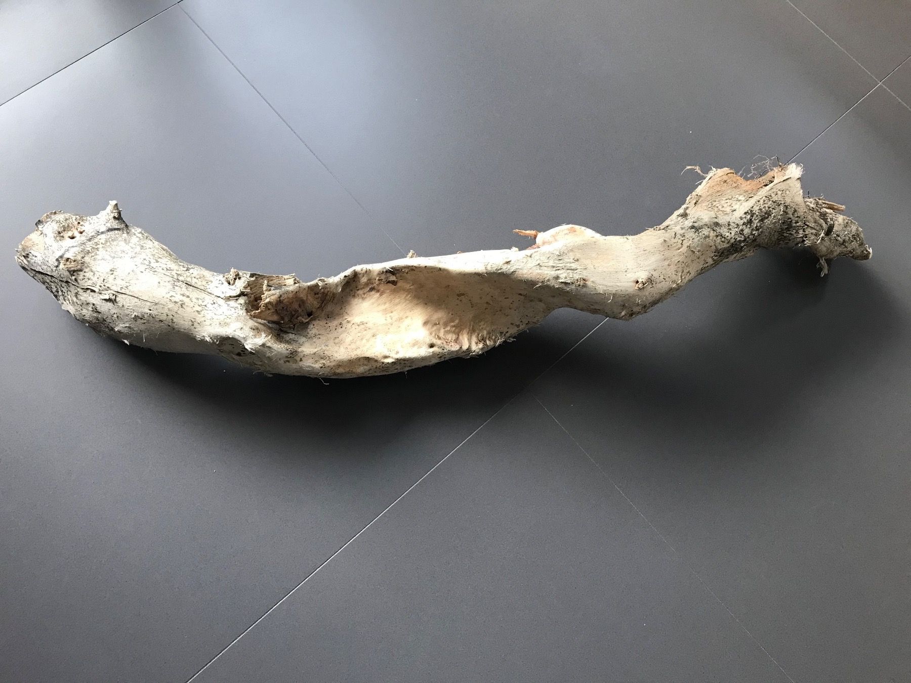Articoli in legno: Schwemmholz – Nuovo (secondo la descrizione) da Vicosoprano venduto da moikka 1
