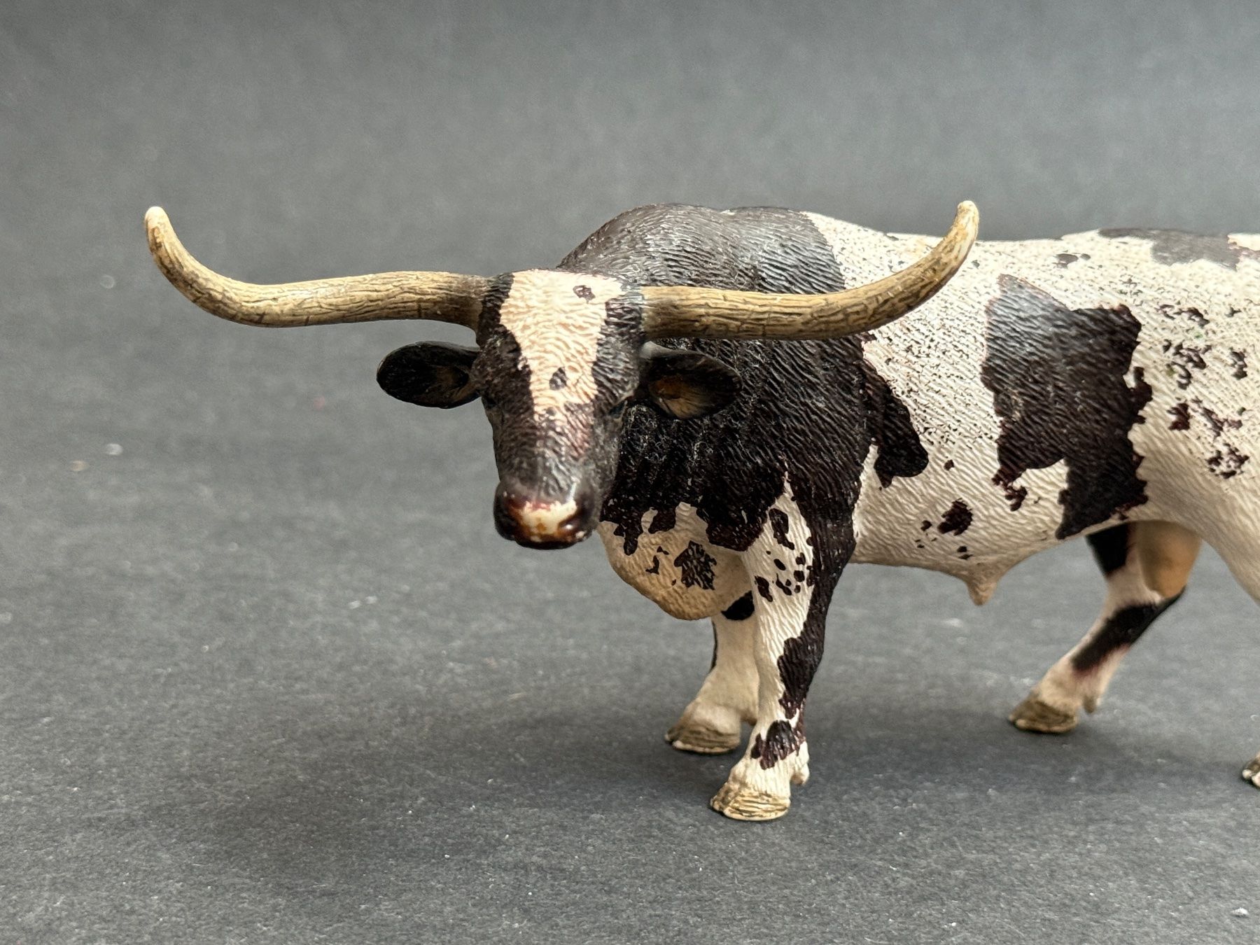 Schleich Statuette: Schleich Texas Longhorn Bulle – Usato da Ennetbaden venduto da mapa05 3