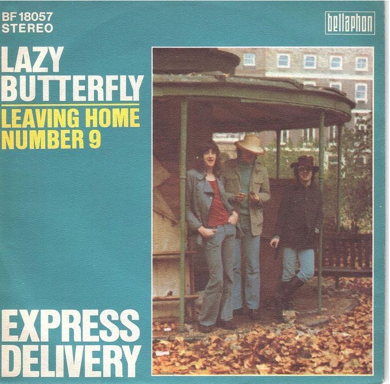 Dischi in vinile: Express Delivery  --  Lazy Butterfly  Single7 – Usato da Rheinau venduto da thespecials