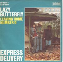 Express Delivery  --  Lazy Butterfly  Single7