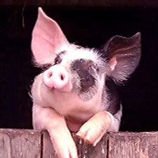 Profile image of Eqrd