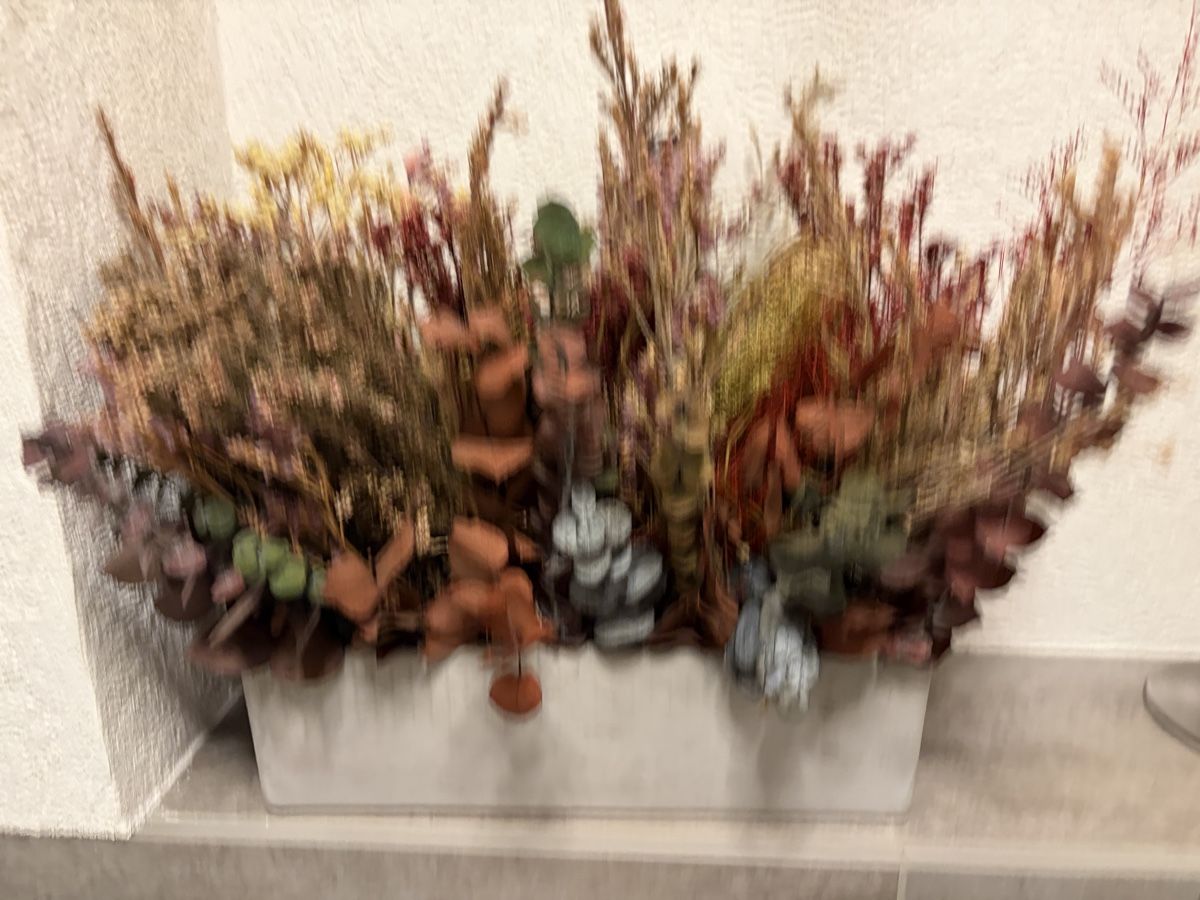 Pots de fleurs: Blumentopf mit tricken blumen – D'occasion à Münchenstein par ArleneLM