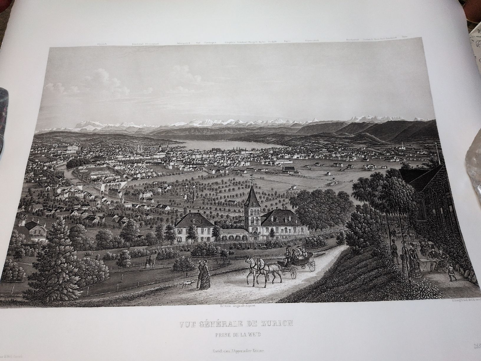 Zürich von der Waid - Gravure H. Siegfried 255/400 (Gebraucht) in ...