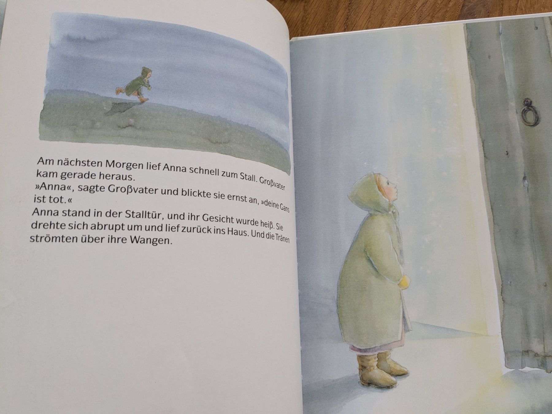 Libri: Die Schneegans - Pirkko Vainio – Usato da Wohlen AG venduto da merkur0300 2