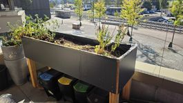 Hochbeet auf Holzbeinen schwarz gebraucht 