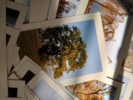 Foto Karten Set für Beratung und Coaching oder Therapie