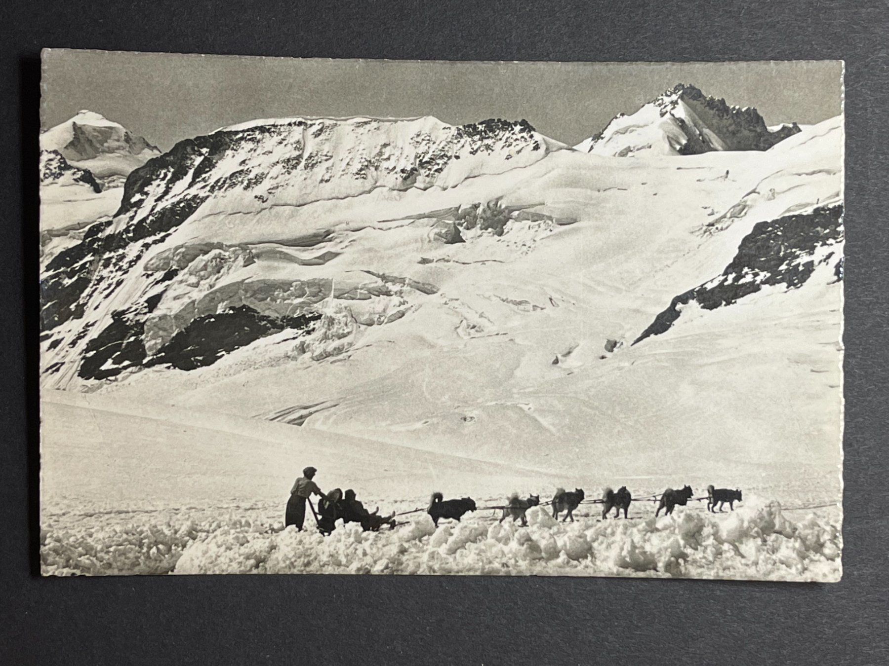Ansichtskarten: Jungfraujoch - Polarhunde – Gebraucht aus Steg VS von _vinci_