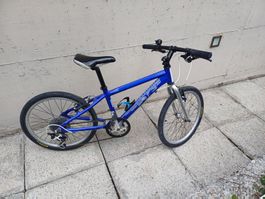 Kindervelo MTB Moskito Bzzz