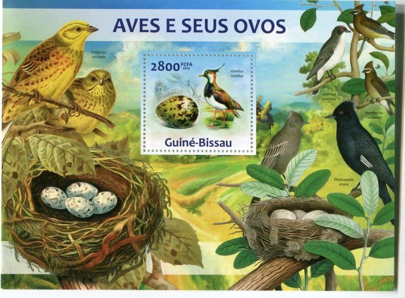 Tutti i francobolli: Block "Vögel". Guinea-Bissau – Nuovo e nell'imballaggio originale da Basel venduto da Butsch5