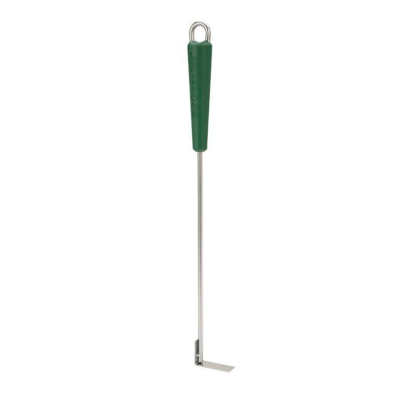 Big Green Egg Grils: Big Green Egg Mini mit Zubehör – Neuf avec emballage d'origine à Zürich par LuziaCampell 2