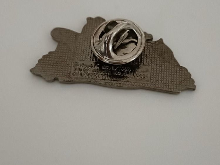Placchette & Badge: Pin Thomy - Box 10 – Usato da Köniz venduto da Pinscollect 1