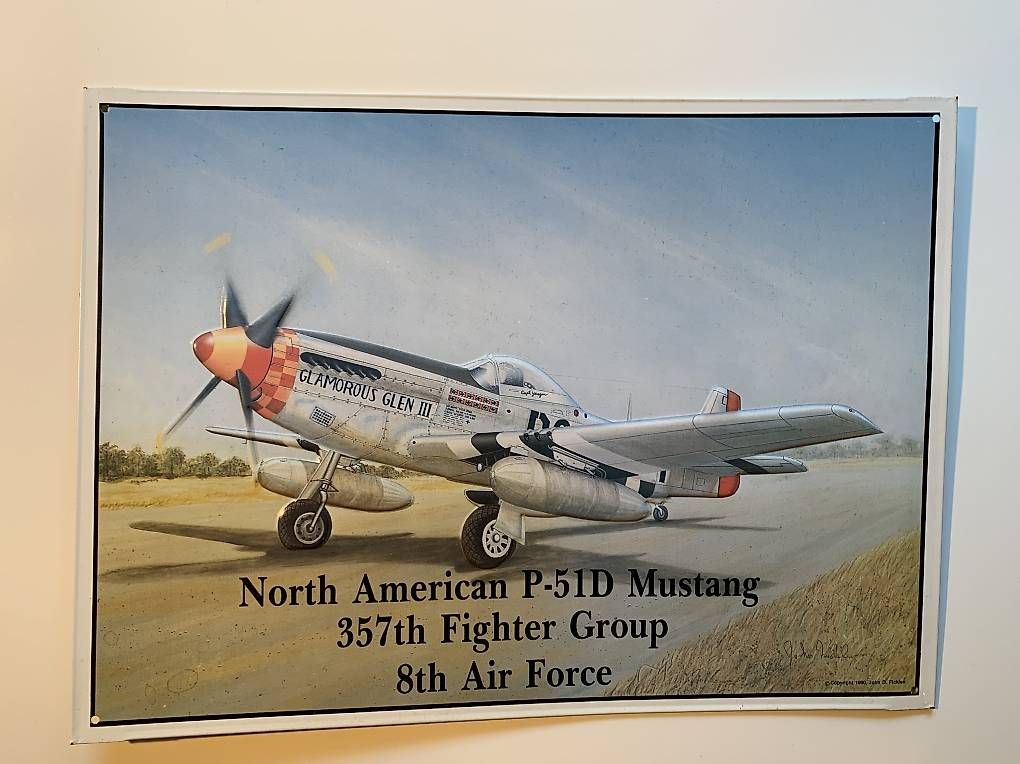 Foto & Immagini: Blechbild / Bild Mustang P-51D – Usato da Wil SG venduto da JoRaHa