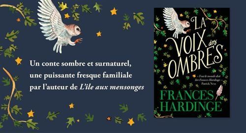 Livres: La Voix des ombres – D'occasion à Neuchâtel par Dualseele 2