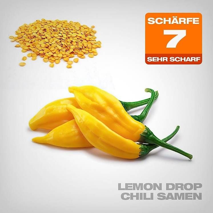 Pflanzen & Samen: Lemon Drop Chili Samen – Neu (gemäss Beschreibung) aus Unterseen von Raff_e46
