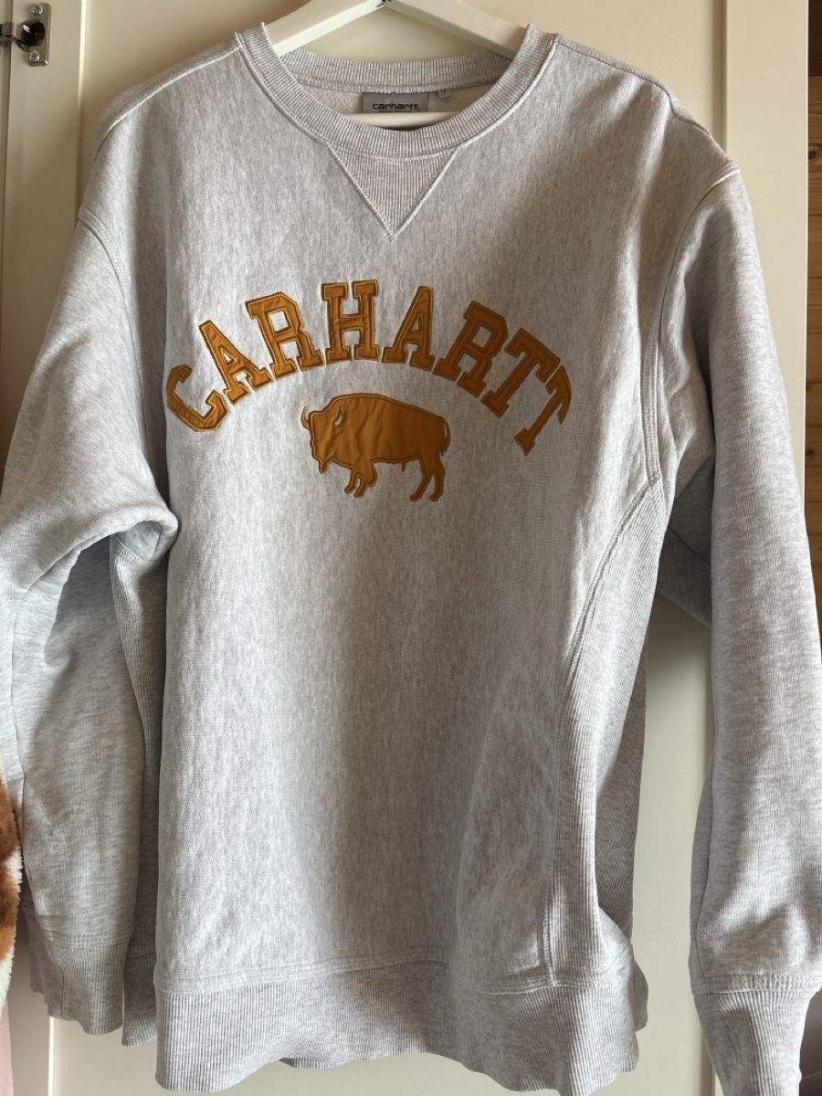 Carhartt Maglioni & Felpe: Carhartt Pullover L – Usato da Gipf-Oberfrick venduto da sid_h5fn