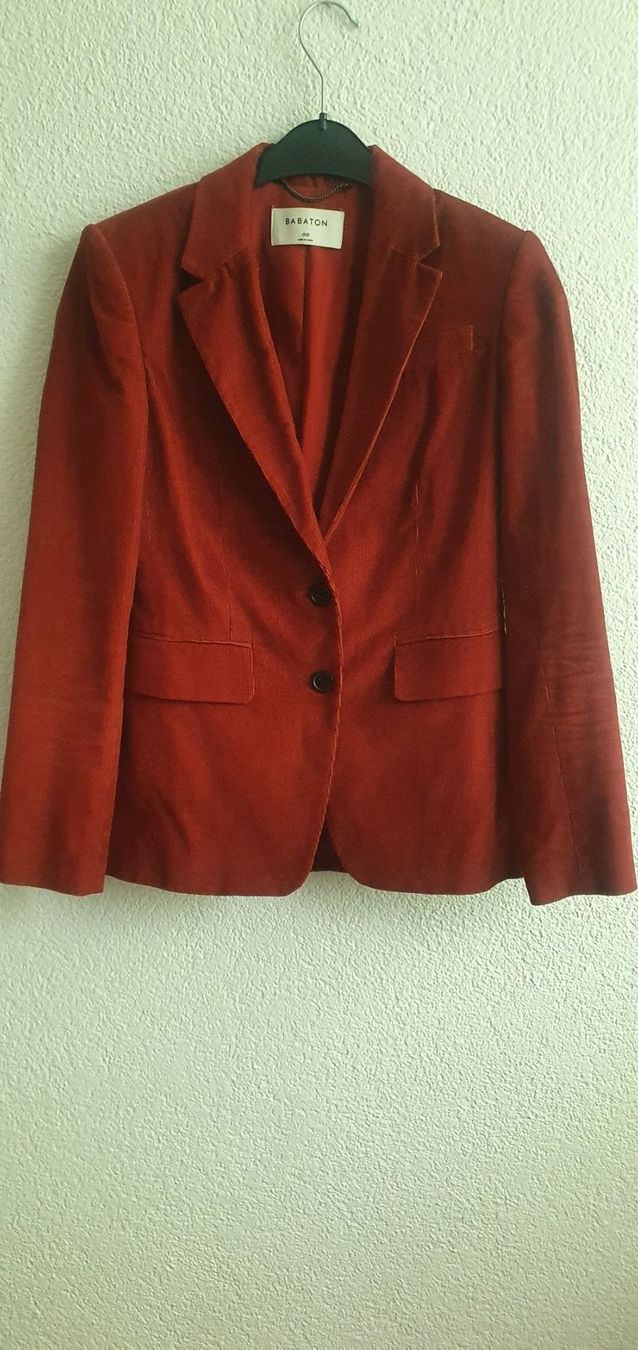 Jacken: Babaton Blazer – Neu (gemäss Beschreibung) aus Zürich von Annacw