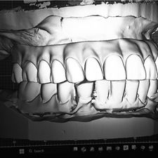Profile image of Grifonx